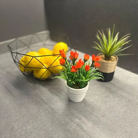 Joan Austria 2 Bedroom Barcellona